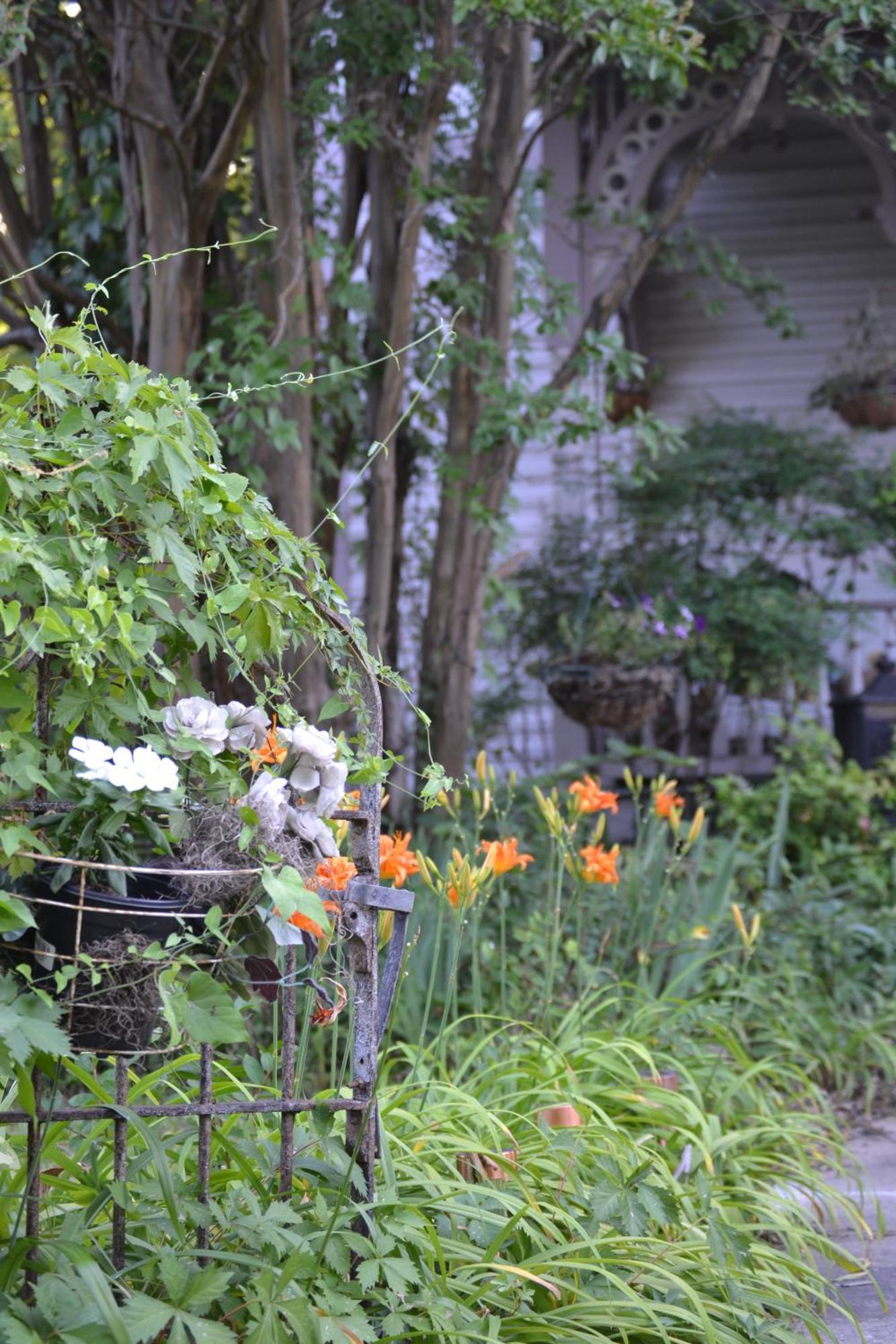 Carleton House Bed And Breakfast Bonham 외부 사진